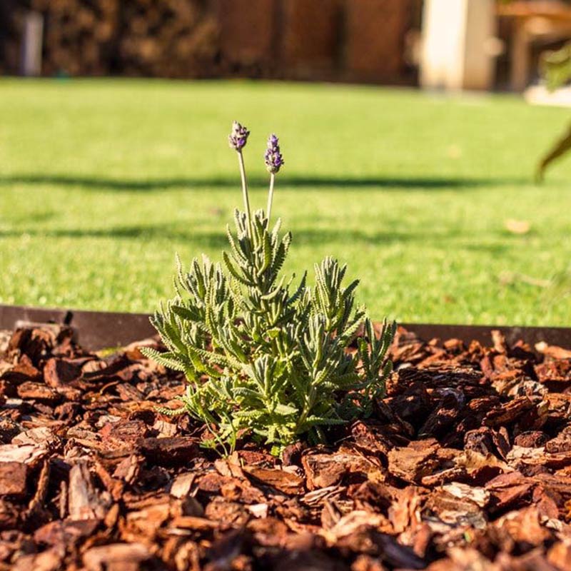 Franse Boomschors haal een natuurlijke sfeer&hellip; UWtuin.nl